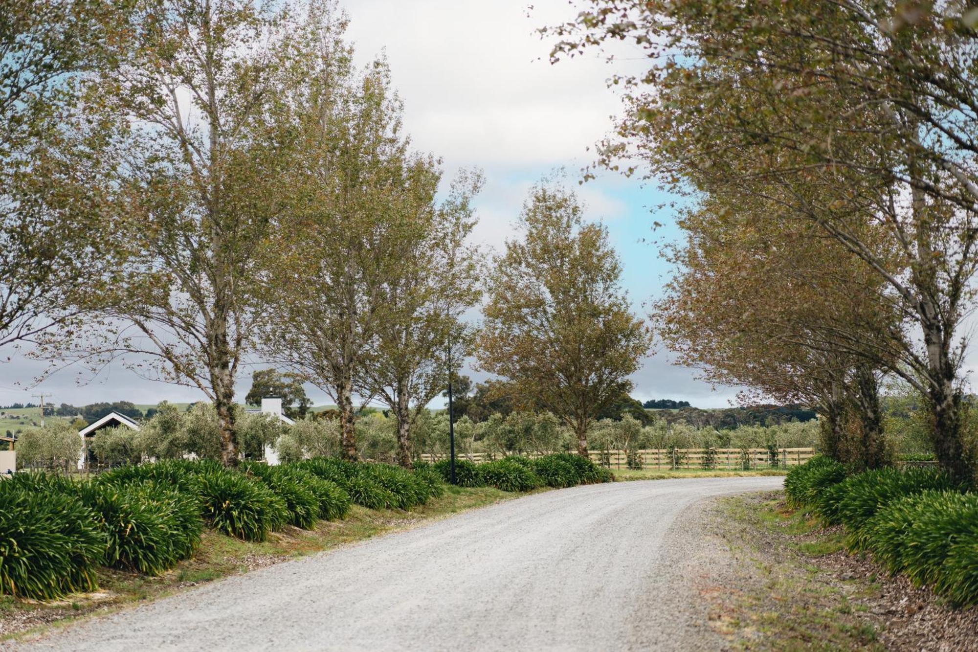 Brackenridge Country Retreat & Spa Martinborough Exteriör bild
